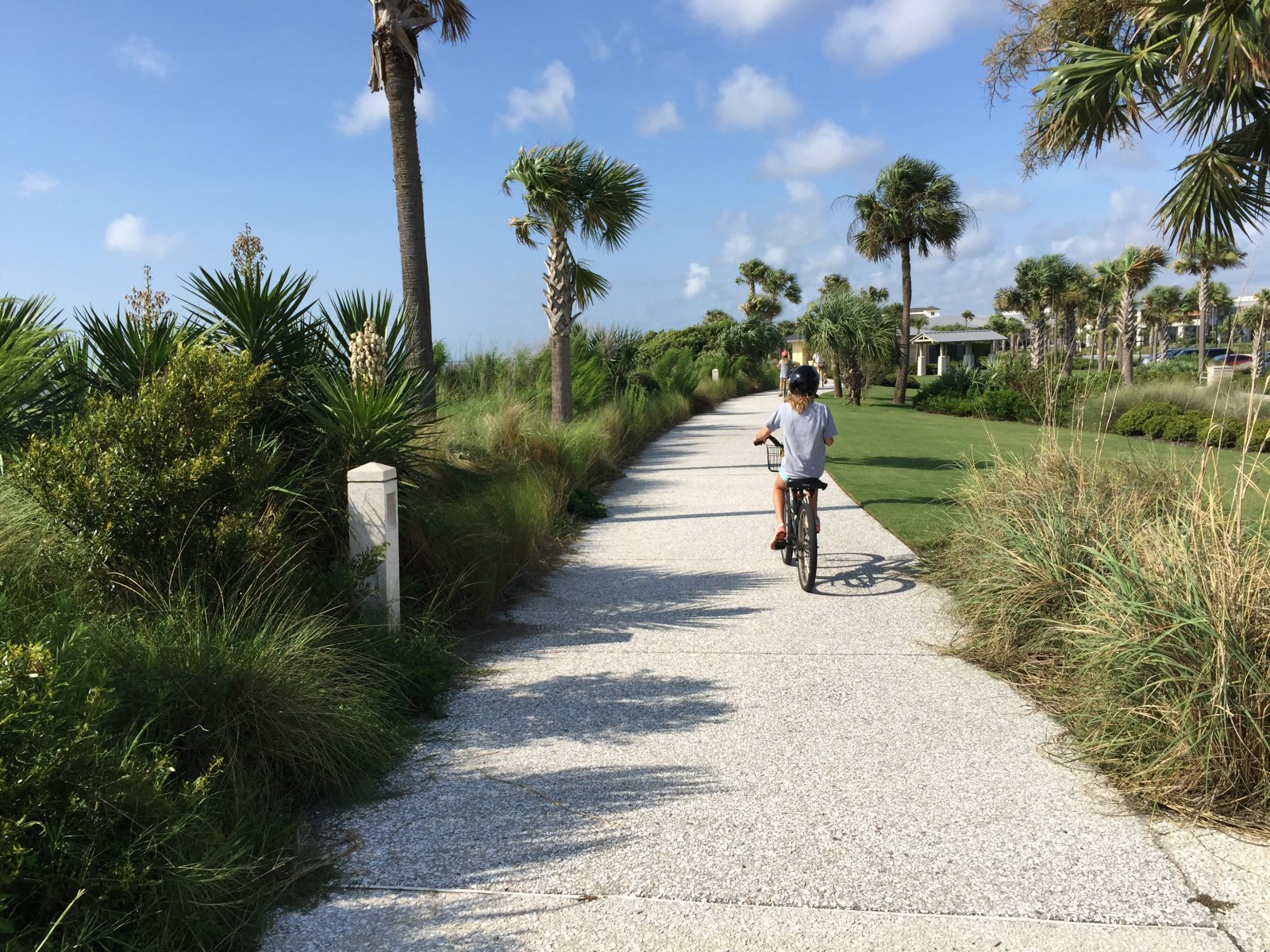 Biking-at-the-beach-Jekyll-Island-July2015.jpg