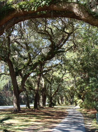 excellent-bike-trails.jpg