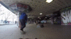 skate-dog-southbank-london.gif