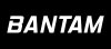 evolve-bantam-skateboard.jpg