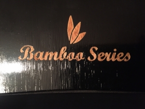 Evolve Bamboo GTX