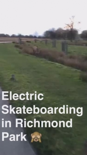 Electric Skateboarding in Richmond Park