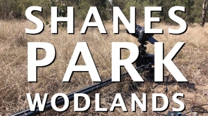 98 - Revolve Camera Motion Slider Tilt & Pan Head Umboxing + Shanes Park Woodlands