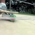 Electric longboarding with interchangeable top shelf wheel varieties
